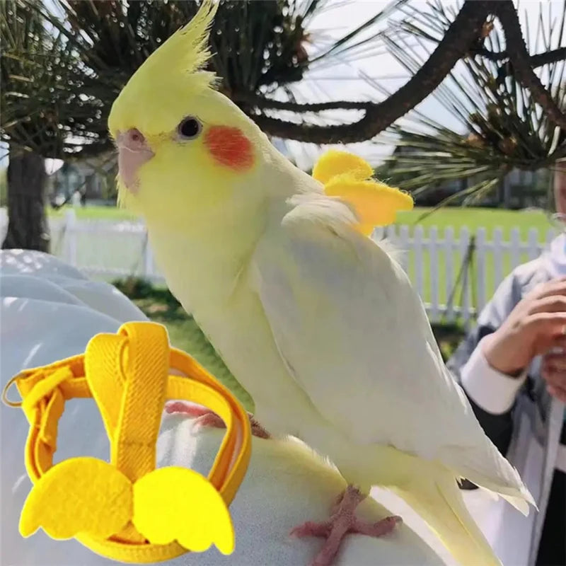 S0d3f591049aa4ced98726de3cf8109a4w