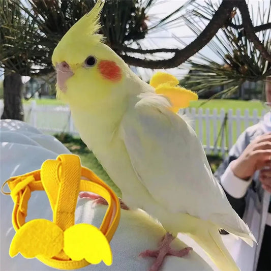 S0d3f591049aa4ced98726de3cf8109a4w