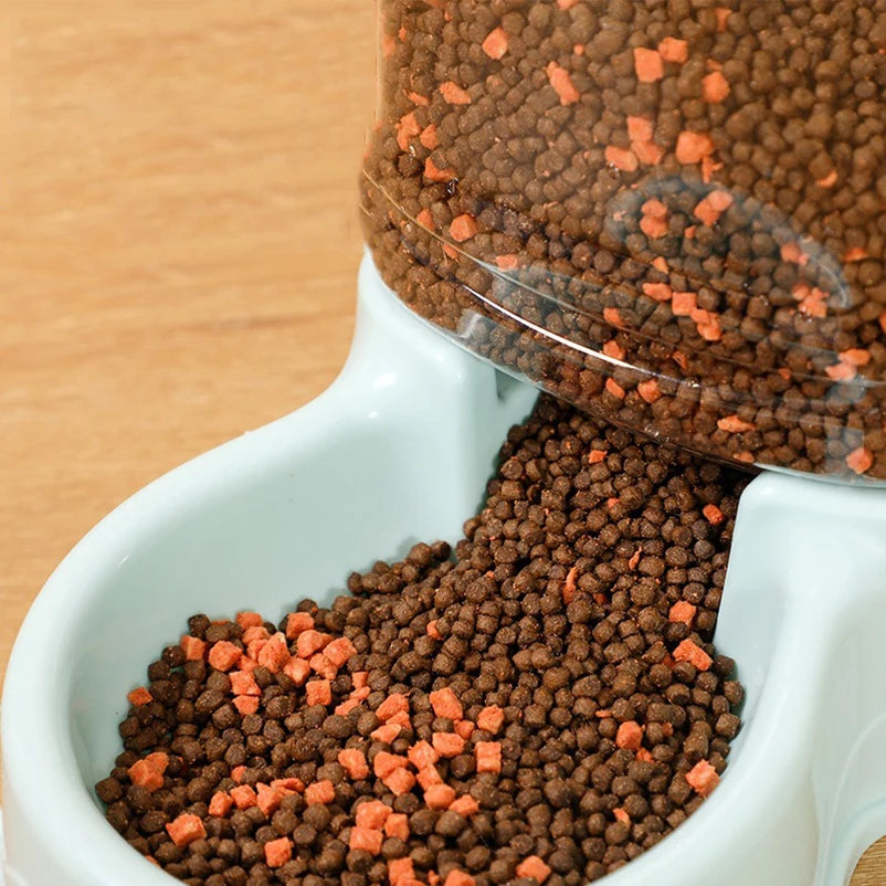 S66d090cbd0174dd69e04c39dac28fa9fR