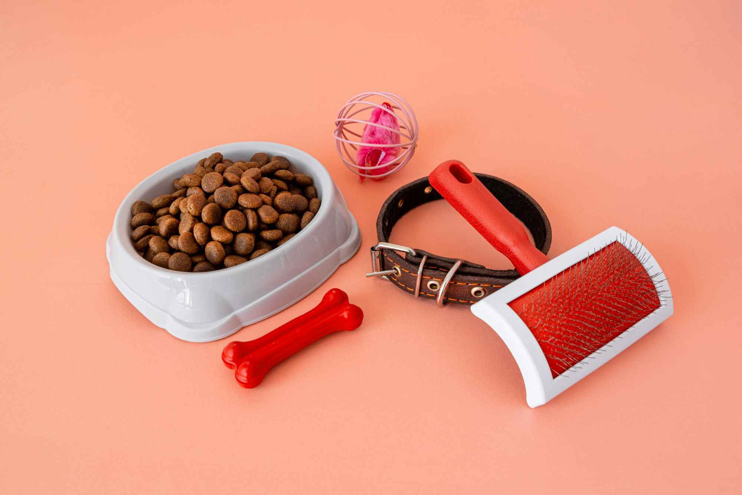 Gamelles et accessoires